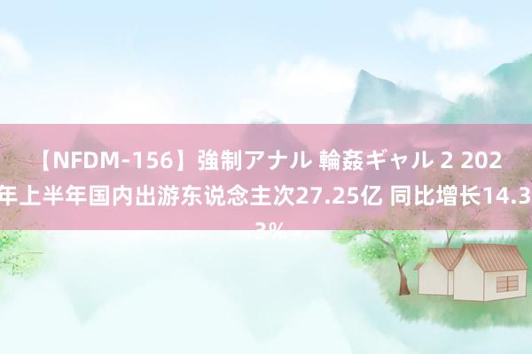 【NFDM-156】強制アナル 輪姦ギャル 2 2024年上半年国内出游东说念主次27.25亿 同比增长14.3%