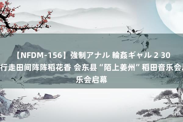 【NFDM-156】強制アナル 輪姦ギャル 2 30秒 | 行走田间阵阵稻花香 会东县“陌上姜州”稻田音乐会启幕