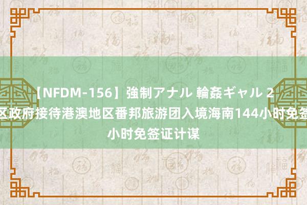 【NFDM-156】強制アナル 輪姦ギャル 2 香港特区政府接待港澳地区番邦旅游团入境海南144小时免签证计谋