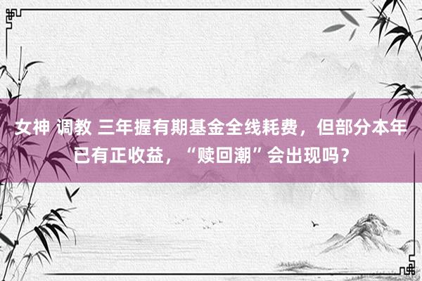 女神 调教 三年握有期基金全线耗费，但部分本年已有正收益，“赎回潮”会出现吗？